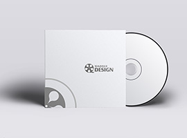 中国流行音乐CD封面包装设计风格